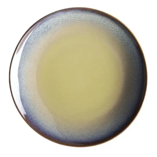 [DZ697] 6 assiettes plates Olympia Birch aubergine 270mm